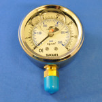 Pressure Gauge for Pump - 161-ph070003